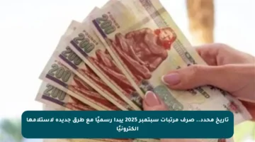 تاريخ محدد.. صرف مرتبات سبتمبر 2025 يبدأ رسميًا مع طرق جديدة لاستلامها إلكترونيًا